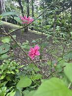 Samai Lodge Holistic Living