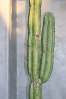 Suite Bali Casa Mexibali Troncones