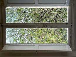 Santo Spirito 6 in Firenze