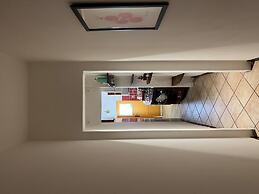 Faenza 65 in Firenze