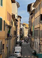 Faenza 65 in Firenze