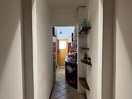 Faenza 65 in Firenze