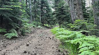 Swissotel Uludag Bursa