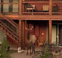 Beeline Guest House