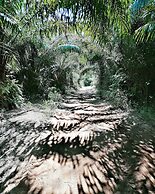 Afro Beach Eco Resort