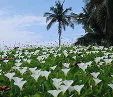 Afro Beach Eco Resort