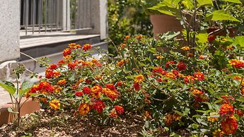 Riflessi sul Mare p1