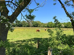 1br-sleeps2-field View-parking-cabin Experience