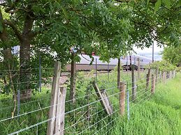 1br-sleeps2-field View-parking-cabin Experience