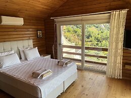 Villa Lucida - Islamlar Town - Villas with Private Pool, Nature Views 