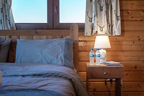 Wood and Stone Chalet