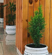 High Sky Resort - Best Luxury Hotel in Dharamkot