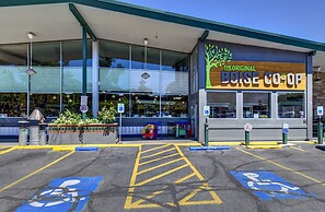 The Brandy Alexander