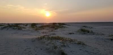 103 D Port O Call by Avantstay Close to Beach Community Pool