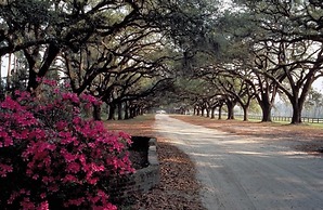 103 D Port O Call by Avantstay Close to Beach Community Pool