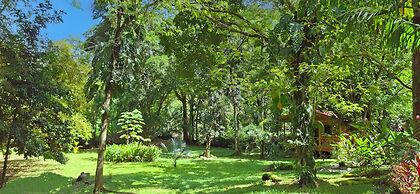 Cabinas Costa Tropicana