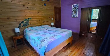 Cabinas Costa Tropicana