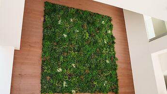 Welcomely - Superior Room - Dith Piaf