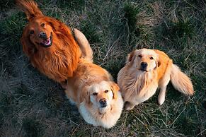 Shangri-La Dala Pasture Hotel