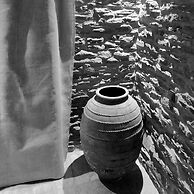 Sifnos Roots