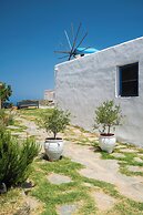 Sifnos Roots