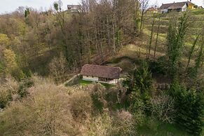 Villa Dolina Miru