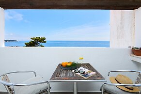 Hedera Estate, Hedera A16