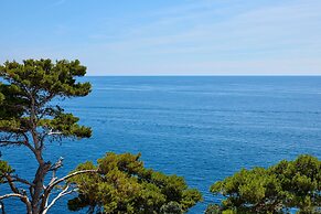 Hedera Estate, Hedera A16