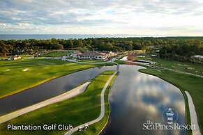 34 Surf Scoter at The Sea Pines Resort