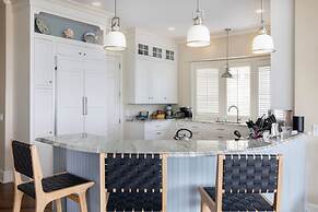 34 Surf Scoter at The Sea Pines Resort