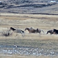 DB Botique and Cabins