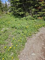 DB Botique and Cabins