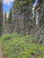 DB Botique and Cabins