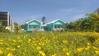 Blue Lizard House