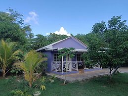 Blue Lizard House