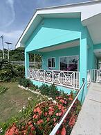 Blue Lizard House