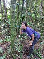 AYAWASKA ATRACTIVO SACHA WASI