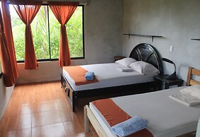 Cabañas Colibrí Tayutic