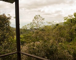 Cabañas Colibrí Tayutic