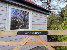 Cornelyn Bach