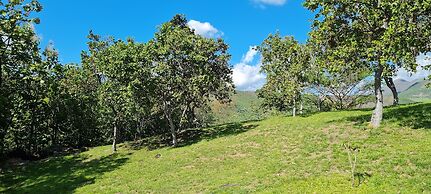 Cabañas Vacacionales Pa Lo Alto