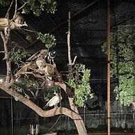 Best Fredericksburg Bed & Breakfast