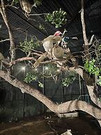 Best Fredericksburg Bed & Breakfast