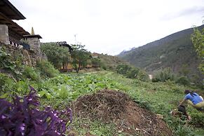Wangdue EcoLodge