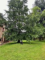 Château de Saint-Chartier