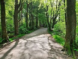 Staysville - Eiganes