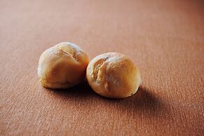 RIHGA PLACE KYOTO SHIJO KARASUMA