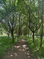 Stunning 1-bed in Bruton Somerset, Stunning Views