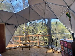 MANDALA CAMP