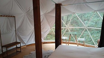 MANDALA CAMP